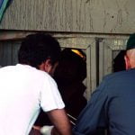 Foto Anniversario Messinese Jonico (348)