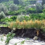 Foto Anniversario Messinese Jonico (375)