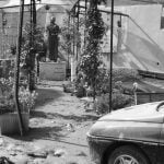 Foto Anniversario Messinese Jonico (382)
