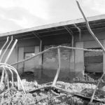 Foto Anniversario Messinese Jonico (386)