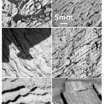 Figura 16.  Imagens detalhadas das placas, onde se pode apreciar a extensa e regular laminação sub-milímetro dos afloramentos de Meridiani Planum.