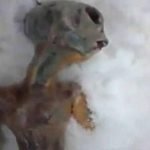2012-01-03_145329