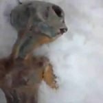 2012-01-03_145359
