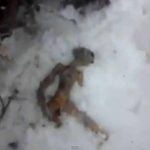 2012-01-03_145412