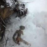 2012-01-03_145426