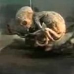 2012-01-03_145447