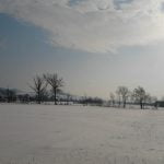 2012-02-01 14.28.41 2012-02-01 14.28.41