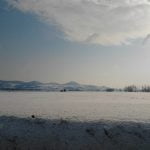 2012-02-01 14.29.45 2012-02-01 14.29.45