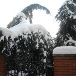 2012-02-01 14.34.48 2012-02-01 14.34.48