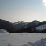 2012-02-01 14.40.27 2012-02-01 14.40.27
