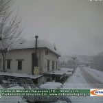 Cesena1