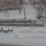 Cesena3