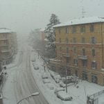 Cesena4