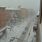 Cesena5