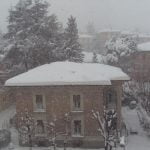 Cesena6