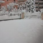 DSCF1784