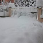 DSCF1789