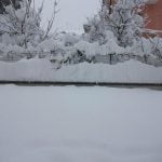 DSCF1792