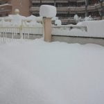 DSCF1810