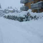 DSCF1814
