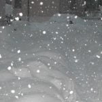 DSCF1833