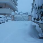 DSCF1848