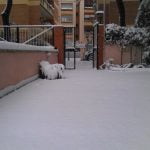 Roma9 Roma9