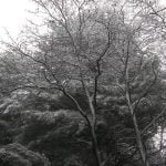 image_002