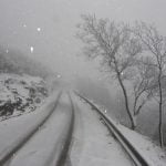 image_005