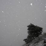 image_007