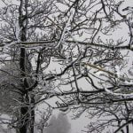 image_008