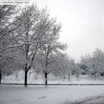 neve2feb 010 neve2feb 010