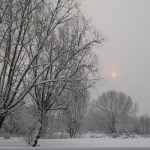 neve2feb 028 neve2feb 028