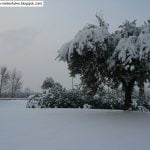 neve2feb 038 neve2feb 038