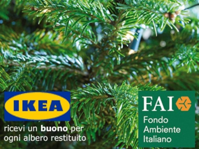 Recinto Albero Di Natale Ikea.Con Il Wwf L Albero Di Natale Dell Ikea Diventa Un Regalo Per Gli Orsi Bruni Marsicani Meteo Web