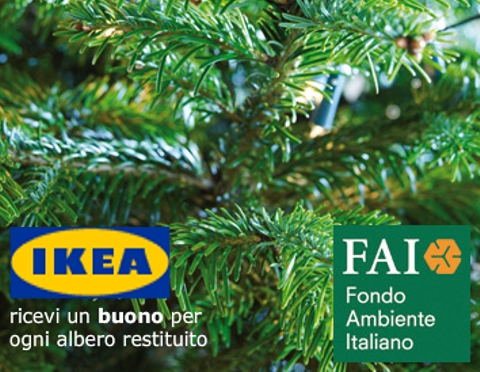 Albero Di Natale Vero Ikea.Con Il Wwf L Albero Di Natale Dell Ikea Diventa Un Regalo Per Gli Orsi Bruni Marsicani Meteo Web