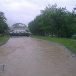 Loznica02