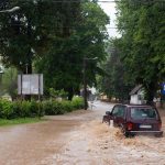 Loznica04