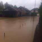 Loznica05
