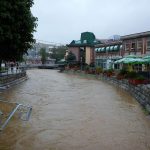 Loznica06