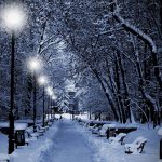 neve02