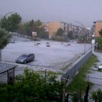 reggio08