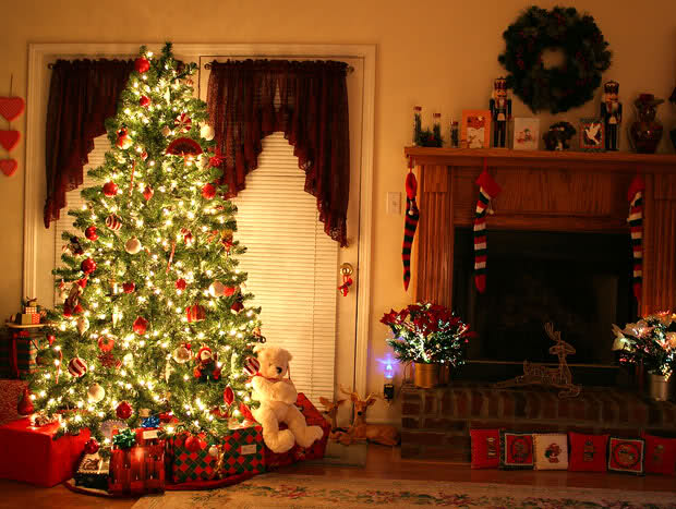 Albero Di Natale Grande.Albero Di Natale Origini E Tradizioni Del Piu Grande Simbolo Delle Feste