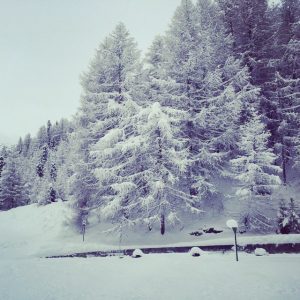neve sulle alpi (13)
