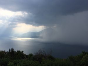 IMG_5878