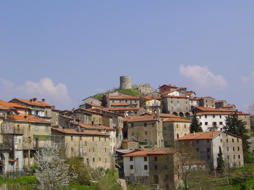 Uccelli Che Cantano Di Notte Terremoto