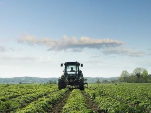 Agricoltura/Agricoltura e cambiamento climatico, la soluzione è Agroecologia