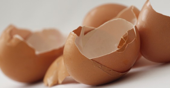 Risultati immagini per gusci d'uovo