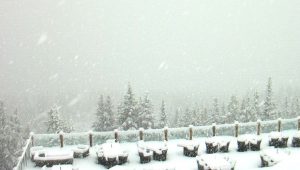 neve lago louise parco nazionale di Banff in canada - alberta (36)