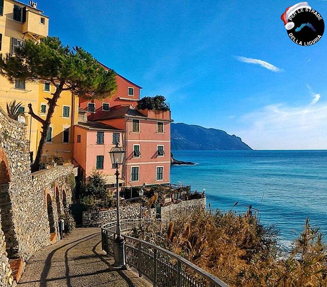 Clima: in Liguria 5° inverno consecutivo mite, temperature di un ... - Meteo Web